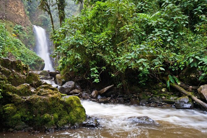 Skip the Line:Day Ticket-La Paz Waterfall Gardens Nature Park & Wildlife Refuge - Five waterfalls and a wildlife park in one stop