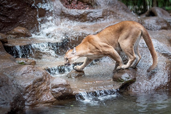 Skip the Line:Day Ticket-La Paz Waterfall Gardens Nature Park & Wildlife Refuge - What your admission covers
