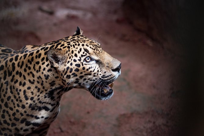 Skip the Line:Day Ticket-La Paz Waterfall Gardens Nature Park & Wildlife Refuge - The waterfall route rewards the effort
