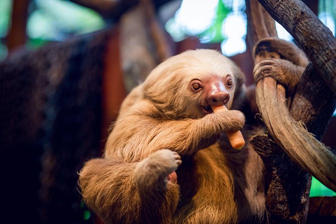 Skip the Line:Day Ticket-La Paz Waterfall Gardens Nature Park & Wildlife Refuge - Start with the animal exhibits or the waterfall trail