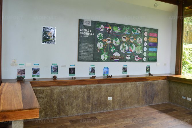 Skip-the-Line La Fortuna Waterfall Admission Ticket - The Walk to La Fortuna Waterfall