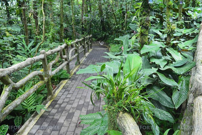 Skip-the-Line La Fortuna Waterfall Admission Ticket - How to Time Your Visit