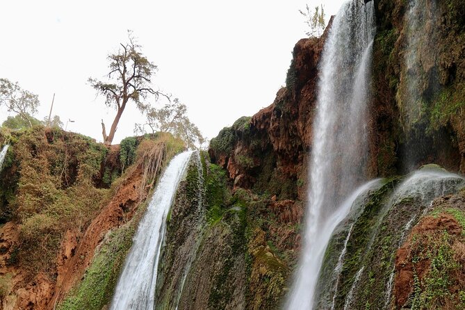 Small group Ouzoud Waterfall Guided Tour Boat Ride from Marrakech - Monkeys, viewpoints, and time for photographs