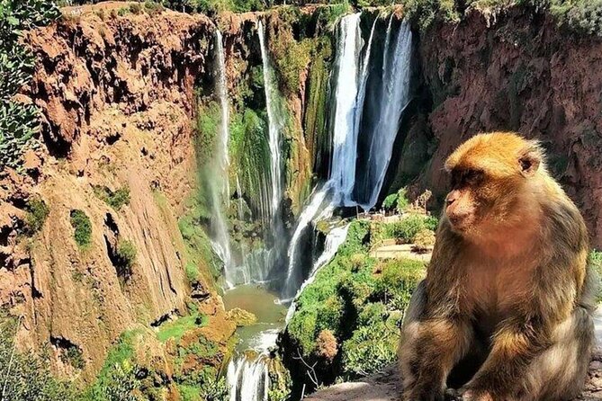 Small group Ouzoud Waterfall Guided Tour Boat Ride from Marrakech - Guides who can shape the day