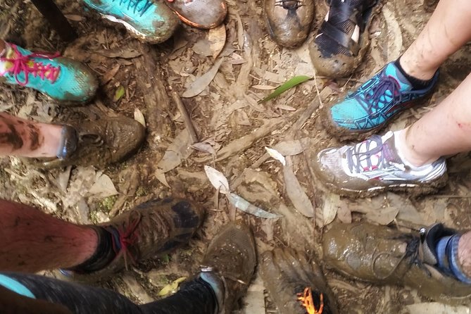 Small Group Waterfall and Rainforest Hiking Adventure on Maui - Why this East Maui hike is different