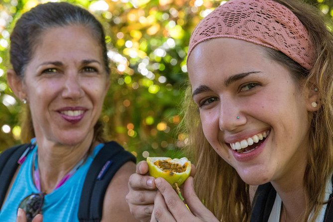 Small Group Waterfall and Rainforest Hiking Adventure on Maui - Guides who make the walk more than a route