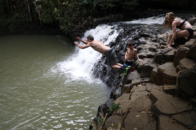 Small Group Waterfall and Rainforest Hiking Adventure on Maui - Who will enjoy this five-hour outing