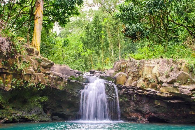 Small Group Waterfall and Rainforest Hiking Adventure on Maui - What to pack and how to prepare