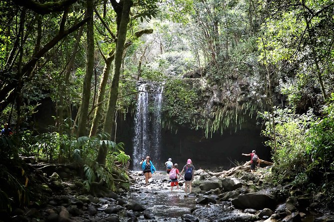 Small Group Waterfall and Rainforest Hiking Adventure on Maui - Riding the Hana Highway from Kahului