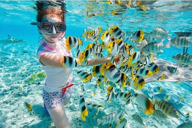 Snorkeling At Blue lagoon And Hidden waterfall - Key points to know before booking