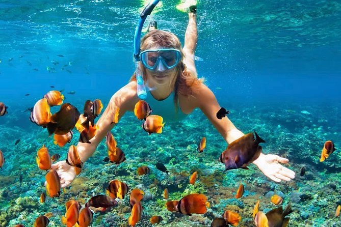 Snorkeling At Blue lagoon And Hidden waterfall - A private driver changes the feel of the day