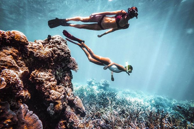 Snorkeling At Blue lagoon And Hidden waterfall - Balinese lunch, coffee, and the extra stops