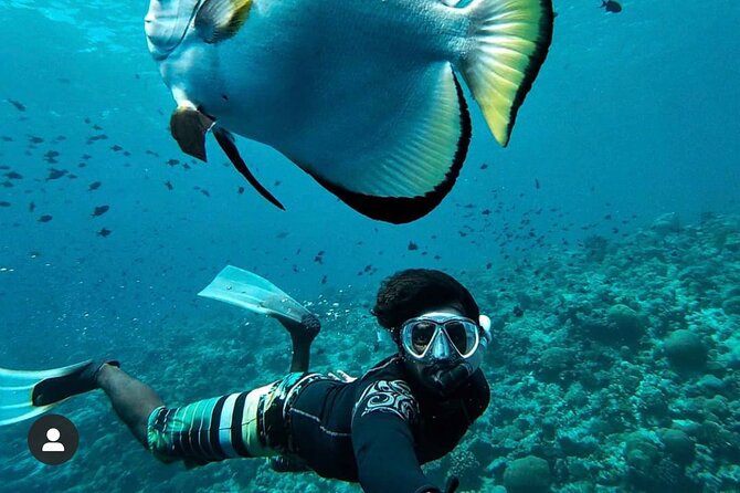 Snorkeling At Blue lagoon And Hidden waterfall - Kanto Lampo Waterfall and the short forest walk