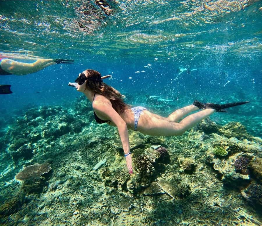 Snorkeling at Blue Lagoon, Tanjung Jepun and Waterfall - Coffee tasting at Pemulan Bali Coffee Plantation