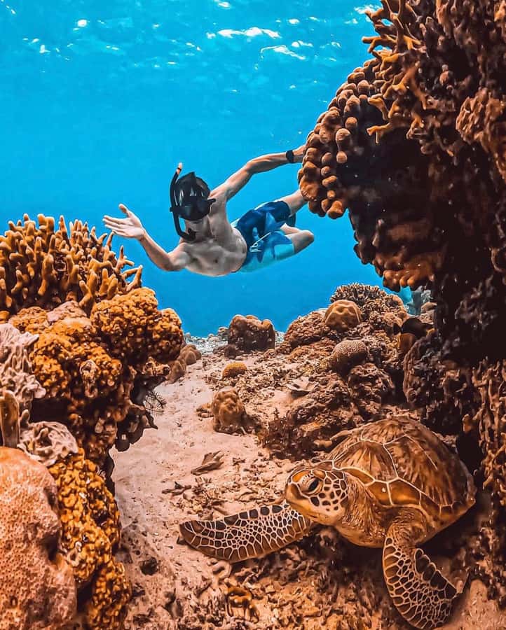 Snorkeling at Blue Lagoon, Tanjung Jepun and Waterfall - Who will enjoy this east Bali day?