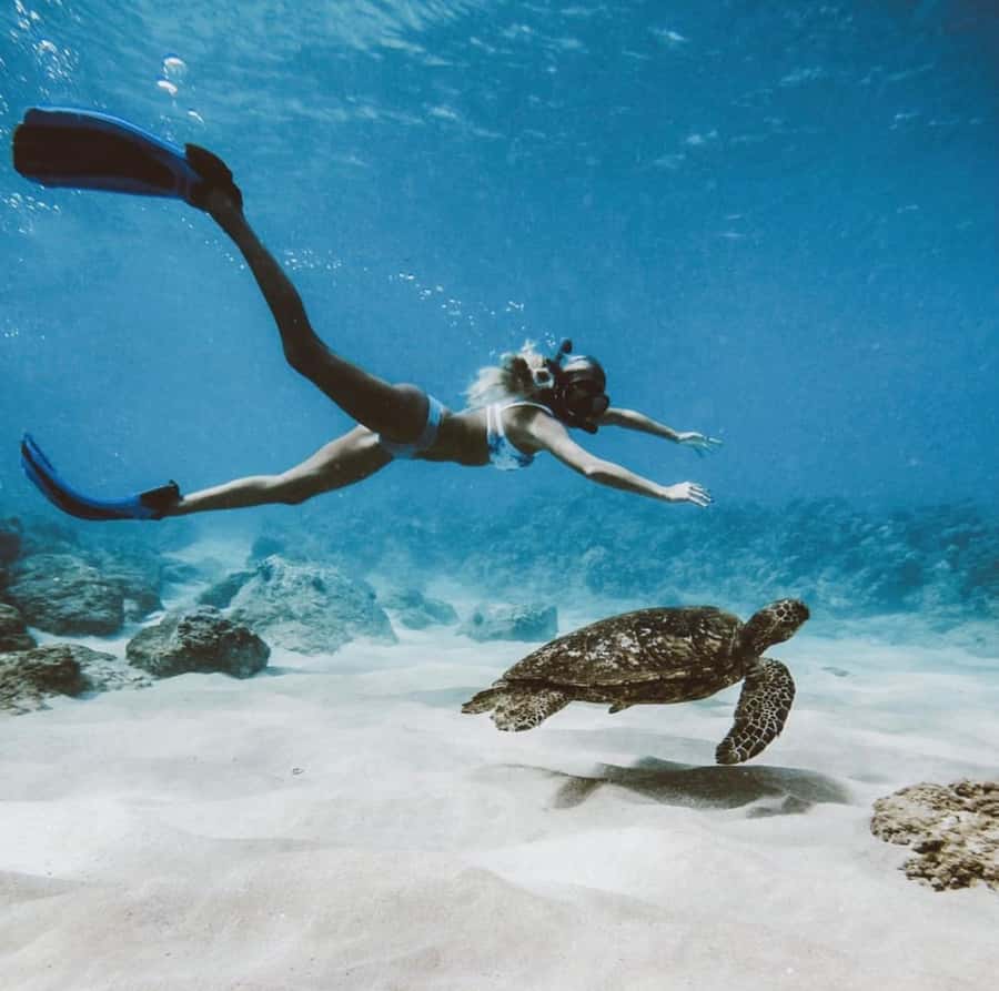Snorkeling at Blue Lagoon, Tanjung Jepun and Waterfall - Should you book the Blue Lagoon and Tanjung Jepun trip?