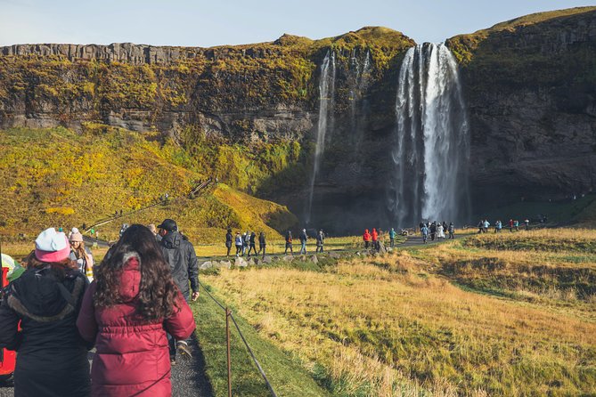 South Coast Day Tour Black Sand Beach & Waterfalls from Reykjavik - What the guide and driver add