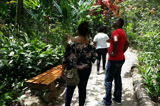 St Lucia Diamond Mineral and Mud Baths Plus Waterfall Adventure - Small groups can change the whole feel