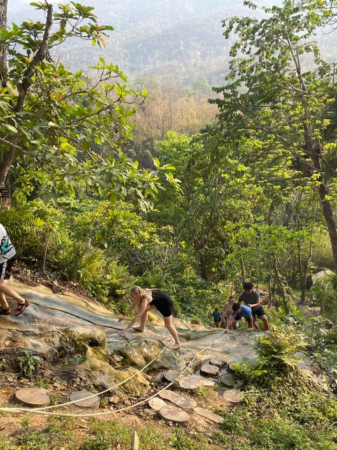 Sticky Waterfall Half-day with Private Car - Why Bua Thong Waterfall is different