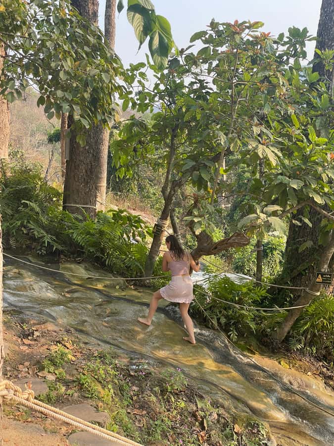 Sticky Waterfall Half-day with Private Car - How much help can you expect from the driver?