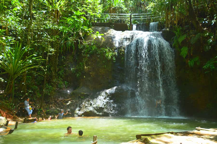 Suva: Fijian Nature and Waterfall Tour - Key points to know before you book