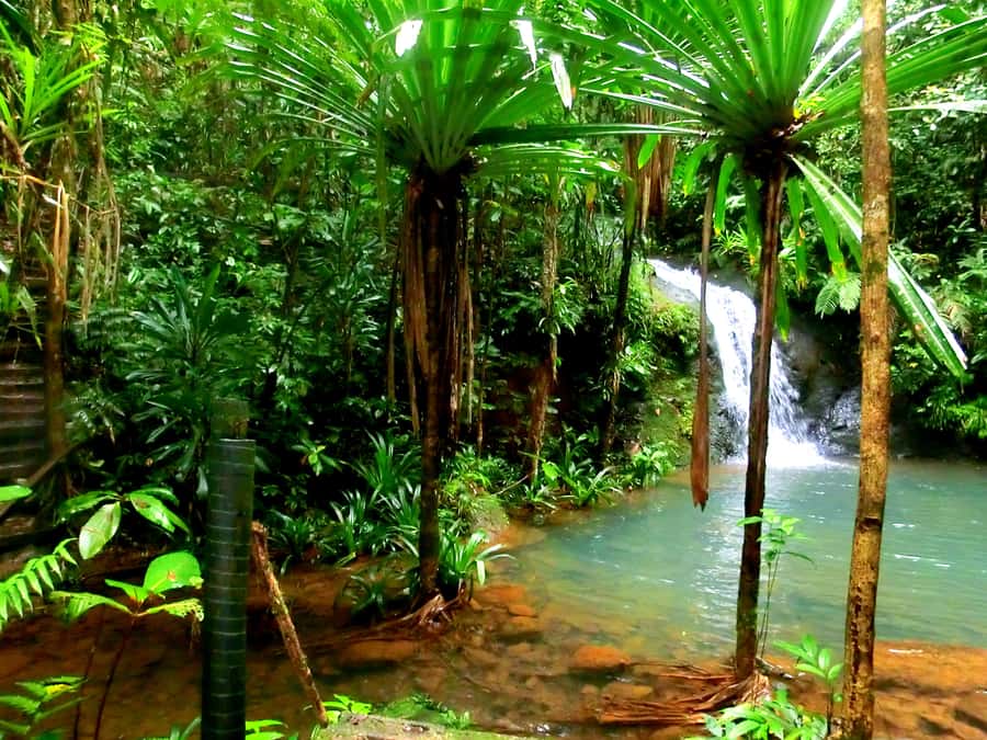 Suva: Fijian Nature and Waterfall Tour - Upper pools, lower pools, and Waisila Falls