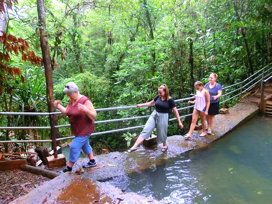 Suva: Fijian Nature and Waterfall Tour - Swimming, photographs, and a possible barbecue