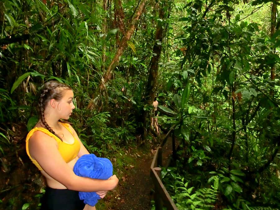 Suva: Fijian Nature and Waterfall Tour - Weather and trail conditions matter