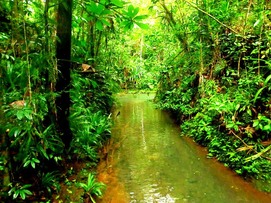 Suva: Fijian Nature and Waterfall Tour - Is $69 good value?