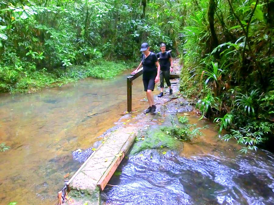 Suva: Fijian Nature and Waterfall Tour - Who should book this Suva outing?