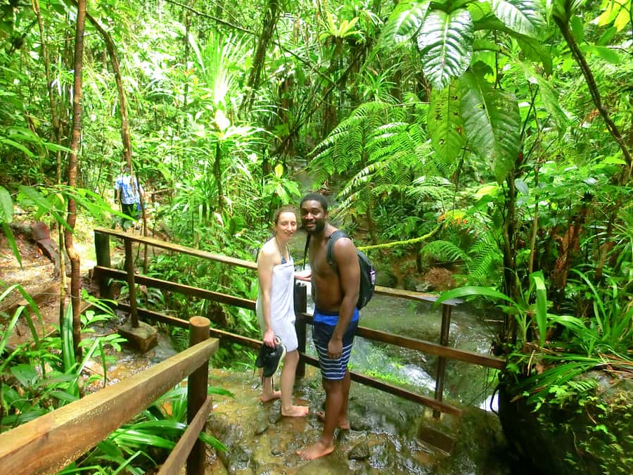 Suva: Fijian Nature and Waterfall Tour - Final decision: book it for forest and swimming