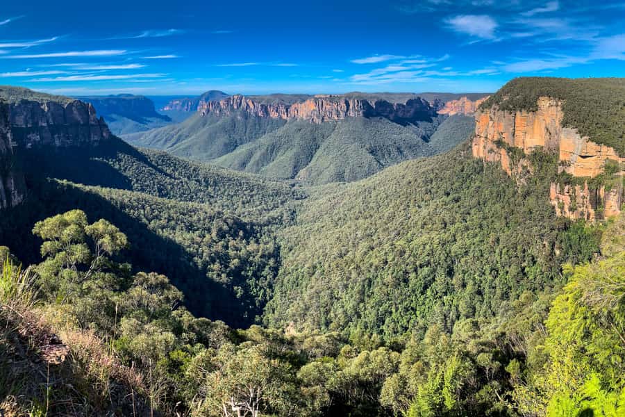 Sydney: Luxury Blue Mountains Adventure with Wentworth Falls - Featherdale Wildlife Park: the strongest opening stop