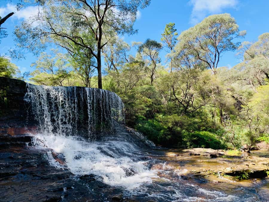 Sydney: Luxury Blue Mountains Adventure with Wentworth Falls - Pickup from five central Sydney hotels