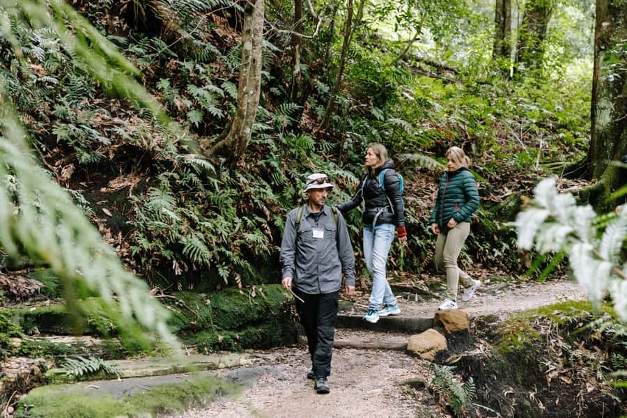 Sydney: Small Group Blue Mountains, Wildlife & Waterfalls - A full Blue Mountains day from central Sydney