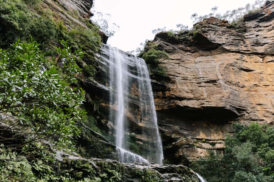 Sydney: Small Group Blue Mountains, Wildlife & Waterfalls - The road into the mountains