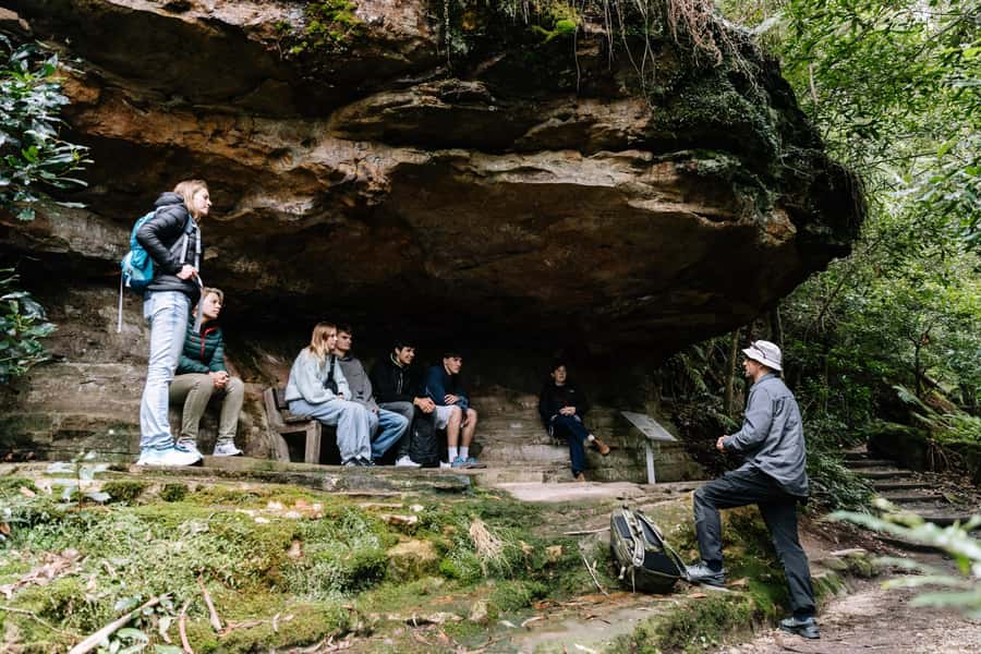 Sydney: Small Group Blue Mountains, Wildlife & Waterfalls - Why the guides matter