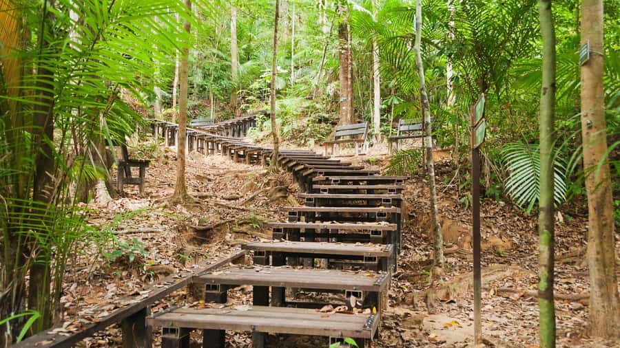 Taman Negara Rainforest Tour with Lata Berkoh Falls - Rapid shooting on the Tembeling River