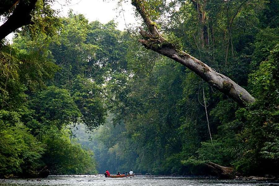 Taman Negara Rainforest Tour with Lata Berkoh Falls - Reaching Lata Berkoh Falls by boat
