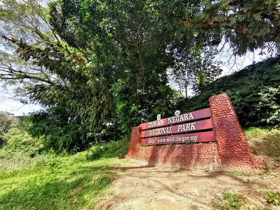 Taman Negara Rainforest Tour with Lata Berkoh Falls - Walking beneath the rainforest canopy