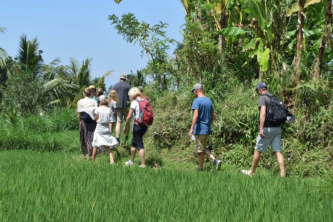 Tetebatu Walking Tour - Rice Terraces, Waterfall & Monkey Forest - Mount Rinjani views without a summit trek