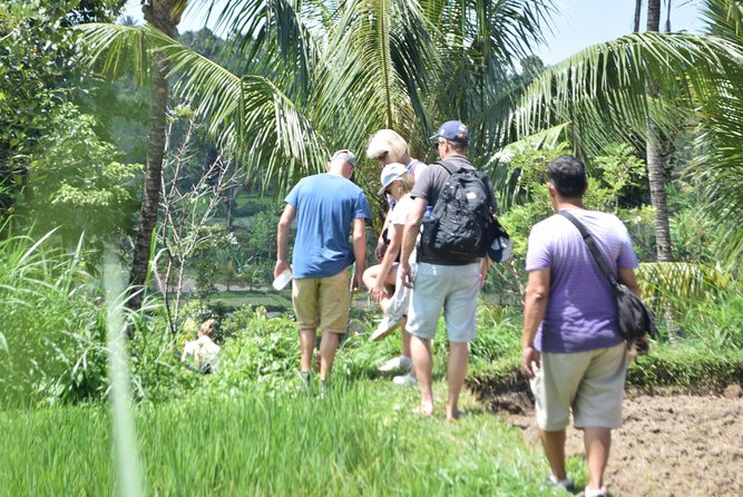 Tetebatu Walking Tour - Rice Terraces, Waterfall & Monkey Forest - Rice terraces and the Sasak countryside