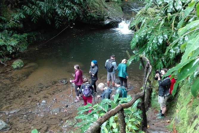 The Great waterfalls Hiking tour - Is $114.28 a fair price?