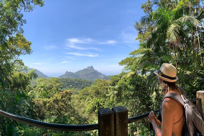 Tijuca Forest Hike - Waterfalls & Caves, Nature & Wild Life! - Key points at a glance