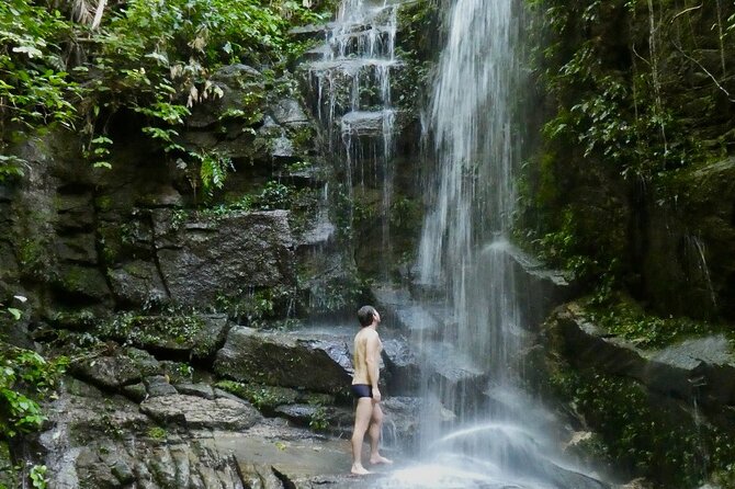 Tijuca Forest Hike - Waterfalls & Caves, Nature & Wild Life! - Cristalina, Baronesa, and Gabriela Waterfalls
