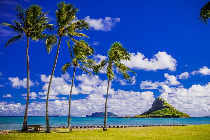Tour of North Shore & Waimea Waterfall - Kahuku Farms and the North Shore coast