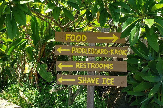 Tour of North Shore & Waimea Waterfall - Dole Plantation, with realistic expectations