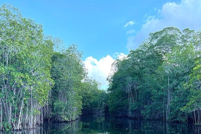Tour to Black River and YS Falls - Who will enjoy this day most