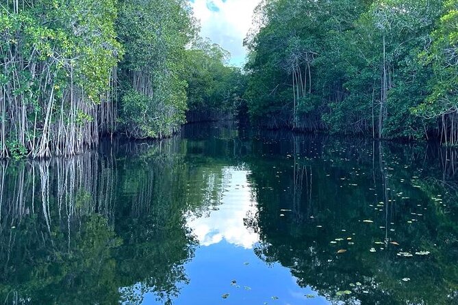 Tour to Black River and YS Falls - Booking and weather details to keep in mind