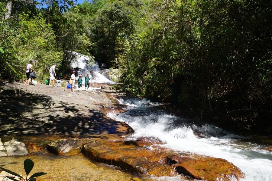 Trekking to Hidden Waterfall & Sturgeon Farm for dog-lovers - Key points to know before you go