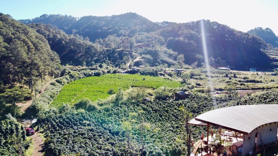 Trekking to Hidden Waterfall & Sturgeon Farm for dog-lovers - Inside the sturgeon farm
